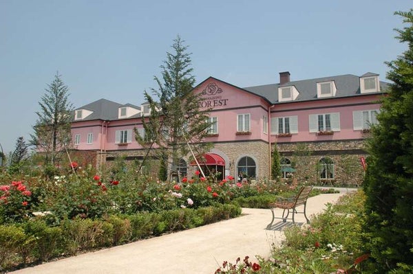 【東京都内発※町田を除く】 花の絨毯!約40万株『羊山公園芝桜の丘』 春色の名勝『長瀞』&秩父名物ランチ3